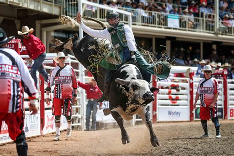 what bell chanel is calgary stempede on|calgary stampede.